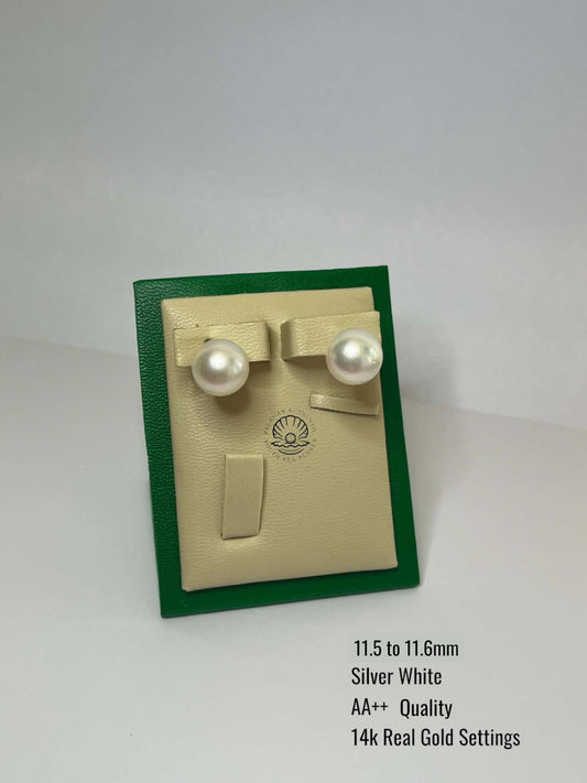 11.5 to 11.6mm Palawan Authentic Silver White Color South Sea Pearl Earrings in 14k Real Gold Settings