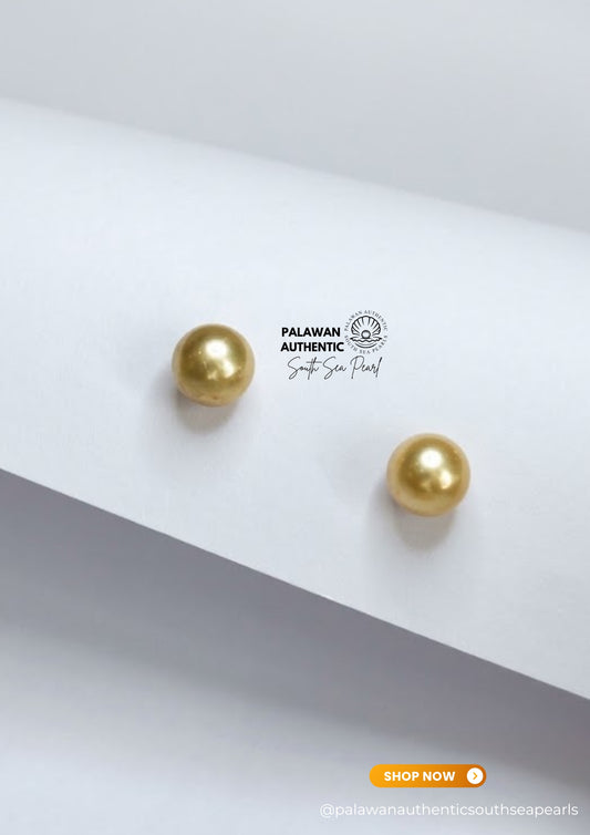 8.3mm Palawan Authentic Golden Champagne Color South Sea Pearl Earrings in 14k Real Gold Settings