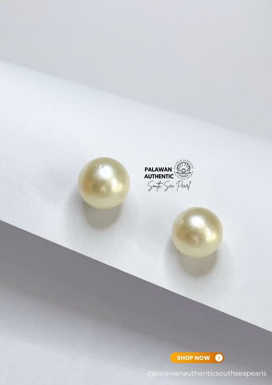 11.9mm to 12.1mm Palawan Authentic Clasic White Color South Sea Pearl Earrings in 14k Real Gold Settings