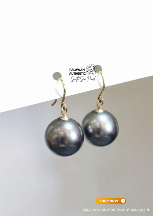 12.8 to 12.9mm Palawan Authentic Tahitian Black Color South Sea Pearl Earrings in 14k Real Gold Settings