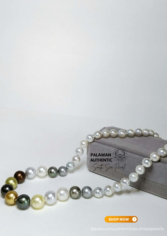 8 to 12mm Palawan Authentic Multicolor South Sea Pearl Choker in 5 Micron Lock Settings