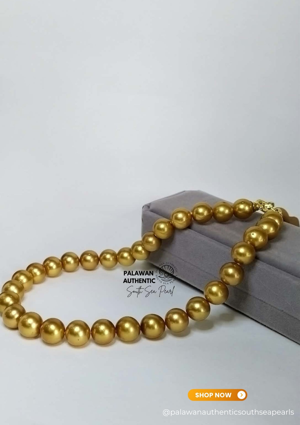 12mm to 14mm Palawan Authentic Deep Golden Color South Sea Pearl Choker in 5 Micron Lock Settings