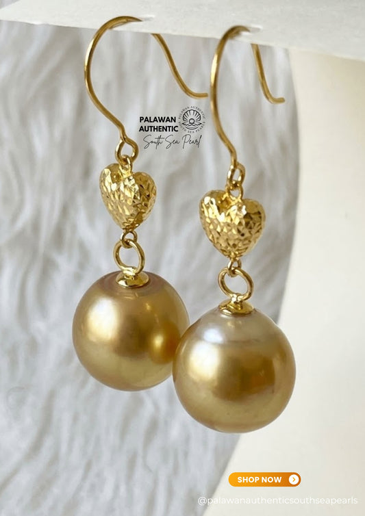 13.9 to 14mm Palawan Authentic Deep Golden Color South Sea Pearl Earrings in 14k Real Gold Settings