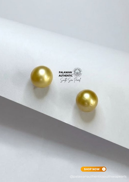 11mm Palawan Authentic Champagne Color South Sea Pearl Earrings in 14k Real Gold Settings