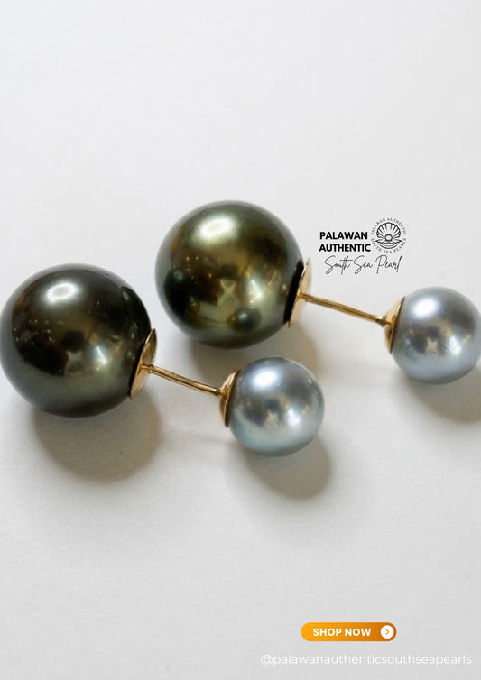 8 to 12mm Palawan Authentic Silver Bluish and Pistachio Green Color South Sea Pearl Earrings in 14k Real Gold Settings