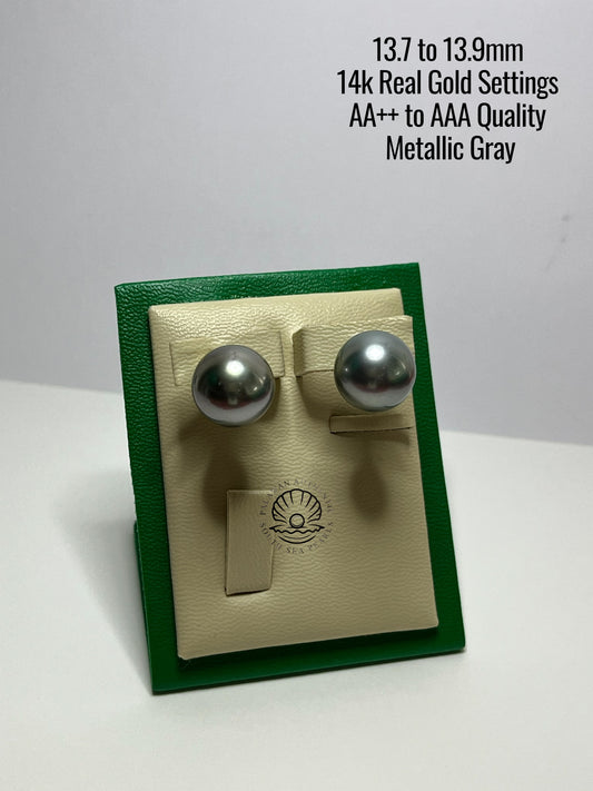 13.7 to 13.9mm Palawan Authentic Metallic Gray Color South Sea Pearl Earrings in 14k Real Gold Settings
