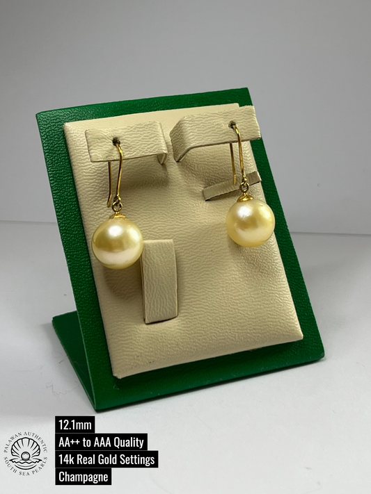 12.1mm Palawan Authentic Champagne Color South Sea Pearl Earrings in 14k Real Gold Settings