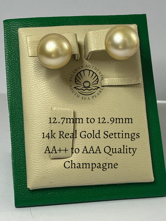 12.7 to 12.9mm Palawan Authentic Champagne Color South Sea Pearl Earrings in 14k Real Gold Settings