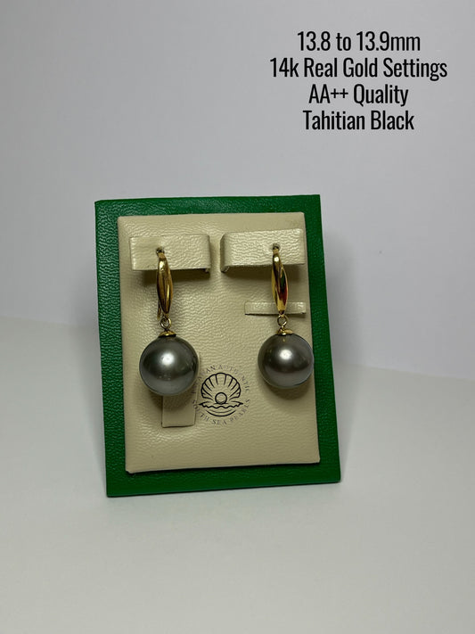 13.8 to 13.9mm Palawan Authentic Tahitian Black Color South Sea Pearl Earrings in 14k Real Gold Settings