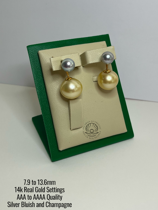 7.9 to 13.6mm Palawan Authentic Silver Bluish and Champagne Color South Sea Pearl Earrings in 14k Real Gold Settings