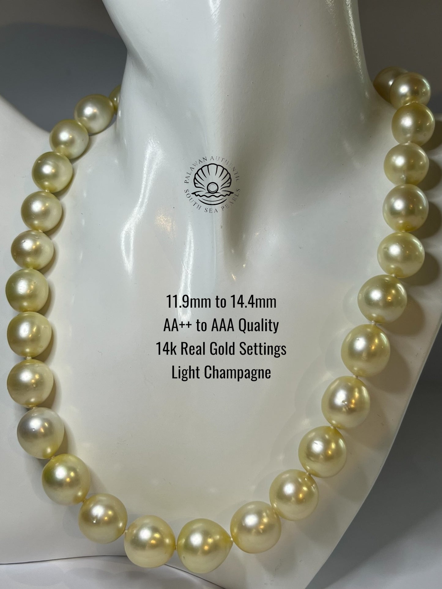 11.9 to 14.4mm Palawan Authentic Light Champagne South Sea Pearl Choker in 14k Real Gold Lock Settings