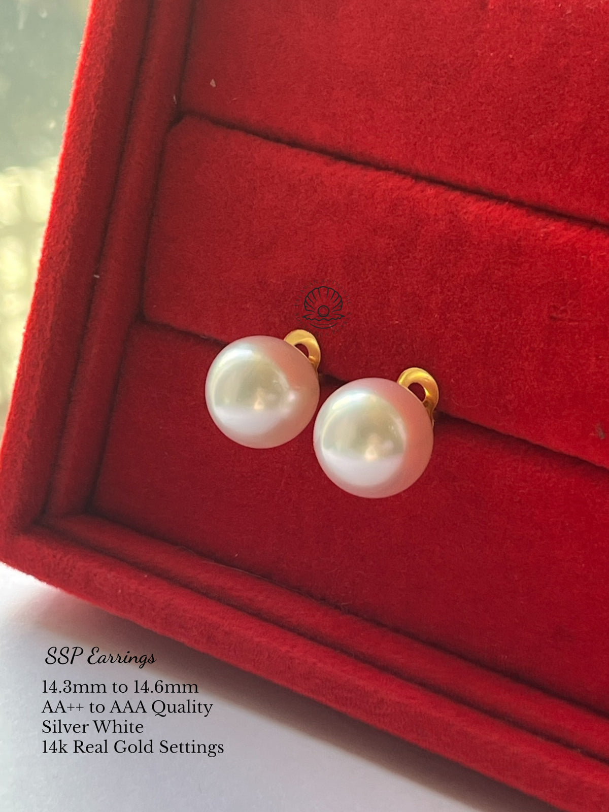 14.3 to 14.6mm Palawan Authentic Silver White Color South Sea Pearl Earrings in 14k Real Gold Settings