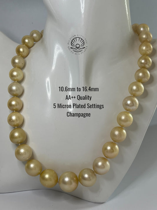 10.6 to 16.4mm Palawan Authentic Champagne Color South Sea Pearl Choker in 5 Micron Lock Settings