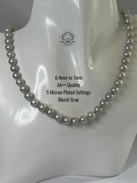 6.4 to 7mm Palawan Authentic  Bluish Gray Color South Sea Pearl Choker in 5 Micron Lock Settings
