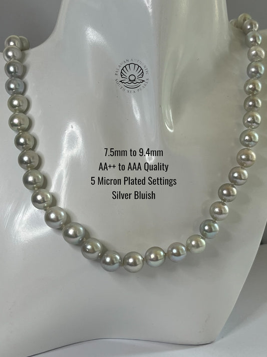 7.5 to 9.3mm Palawan Authentic Silver Bluish Color South Sea Pearl Choker in 5  Micron Lock Setting.