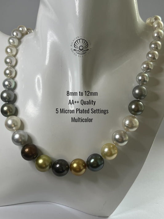 8 to 12mm Palawan Authentic Multicolor South Sea Pearl Choker in 5 Micron Lock Settings