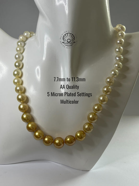 7.7 to 11.3mm Palawan Authentic Multicolor South Sea Pearl Choker in 5 Micron Lock Settings