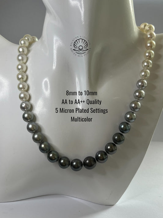 8 to 10mm Palawan Authentic Multicolor South Sea Pearl Choker in 5 Micron Lock Settings