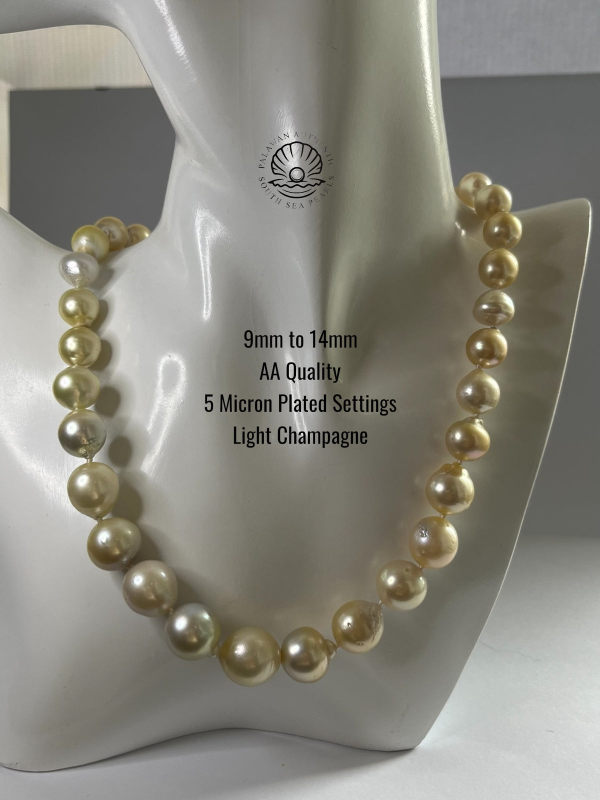 9 to 14mm Palawan Authentic Light Champagne South Sea Pearl Choker in 5 Micron Lock Setting.