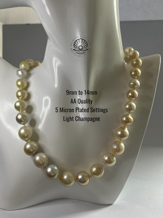 9 to 14mm Palawan Authentic Light Champagne South Sea Pearl Choker in 5 Micron Lock Setting.