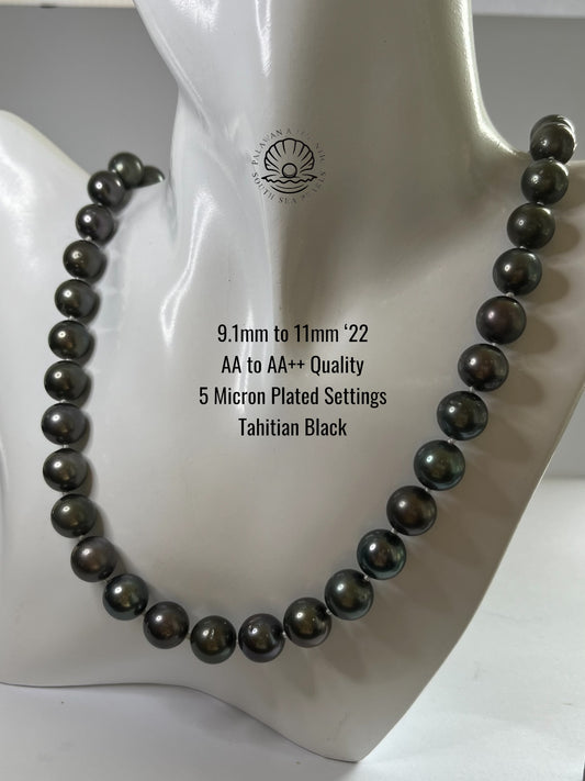 9.1 to 11mm Palawan Authentic Tahitian Black Color South Sea Pearl Choker in 5 Micron Lock Settings