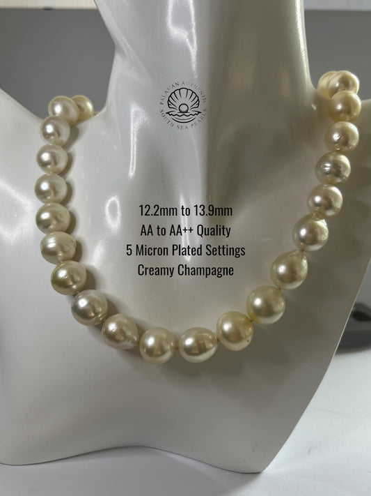 12.3 to 13.9mm Palawan Authentic Creamy Champagne Color South Sea Pearl Choker in 5 Micron Lock Settings