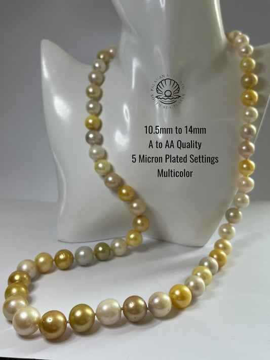 10.5 to 14mm Palawan Authentic Multicolor South Sea Pearl Choker in 5 Micron Lock Settings
