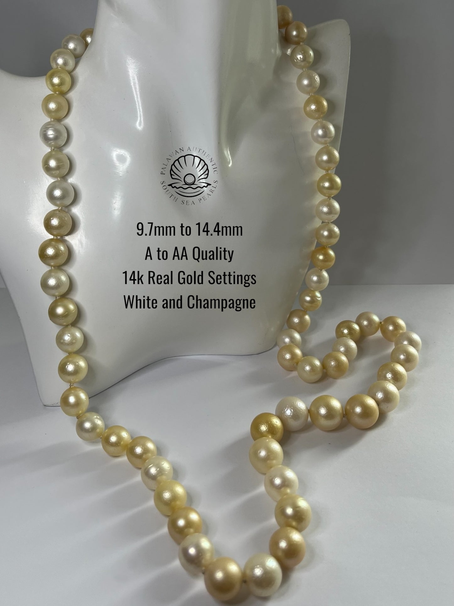 9.7 to 14.4mm Palawan Authentic White and Champagne Color South Sea Pearl Choker in 14K Real Gold Lock Settings