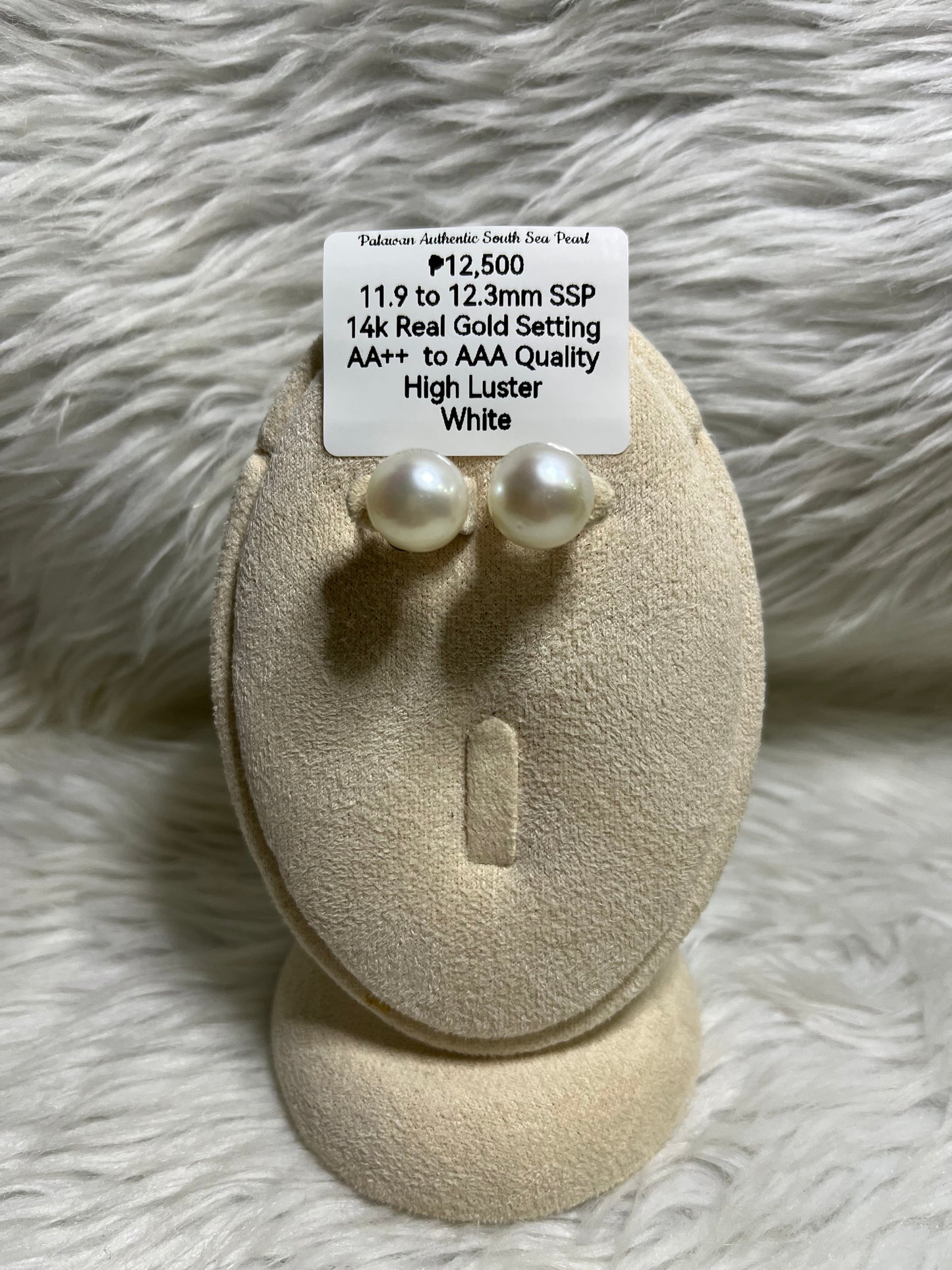 New Arrival! 11.9mm to 12.3mm Authentic White South Sea Pearl Earrings in 14k Real Gold Settings