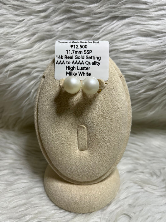 New Arrival! 11.7mm Authentic Milky White South Sea Pearl Earrings in 14k Real Gold Settings