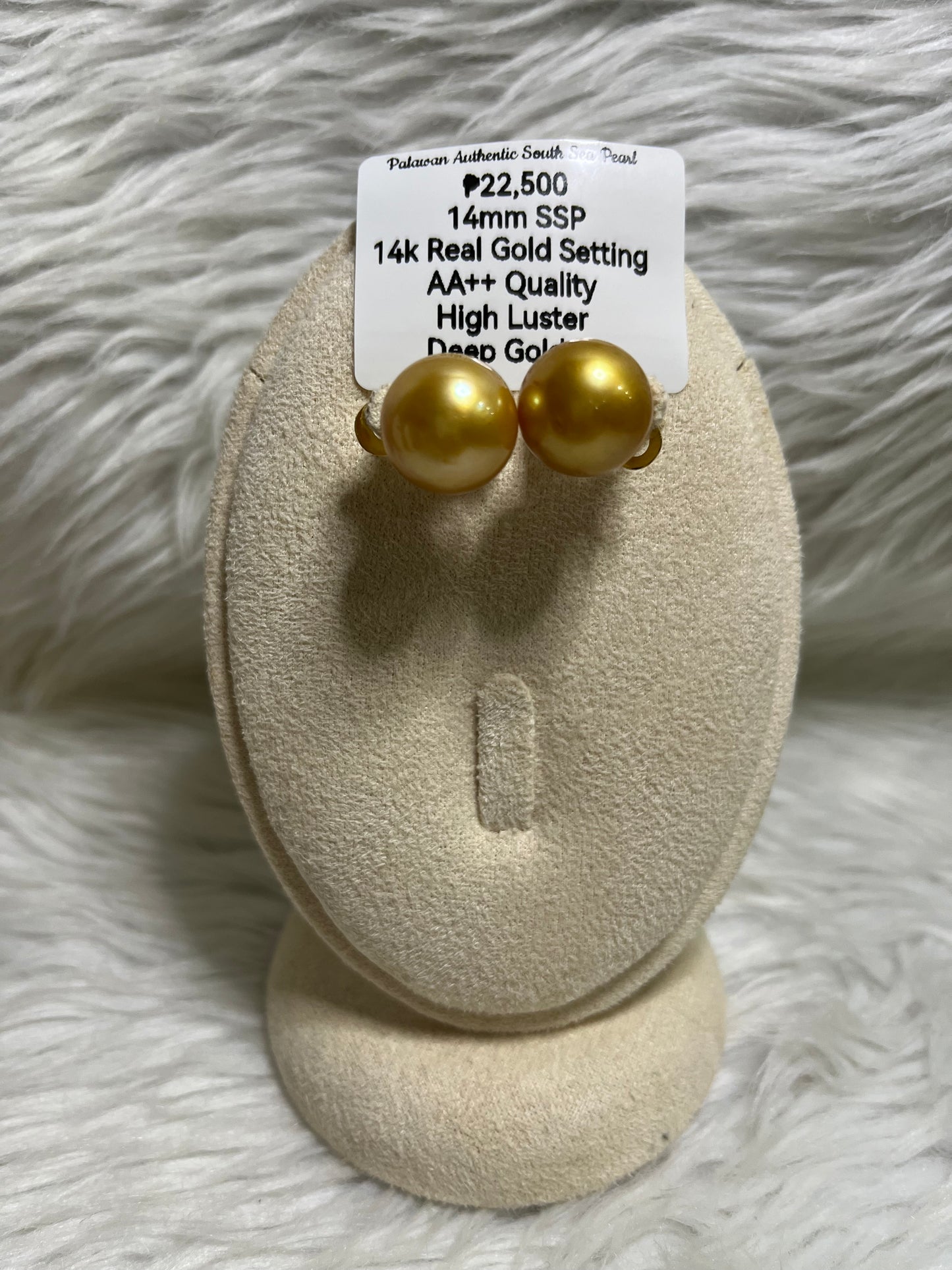 New Arrival! 14mm Authentic Deep Golden South Sea Pearl Earrings in 14k Real Gold Settings