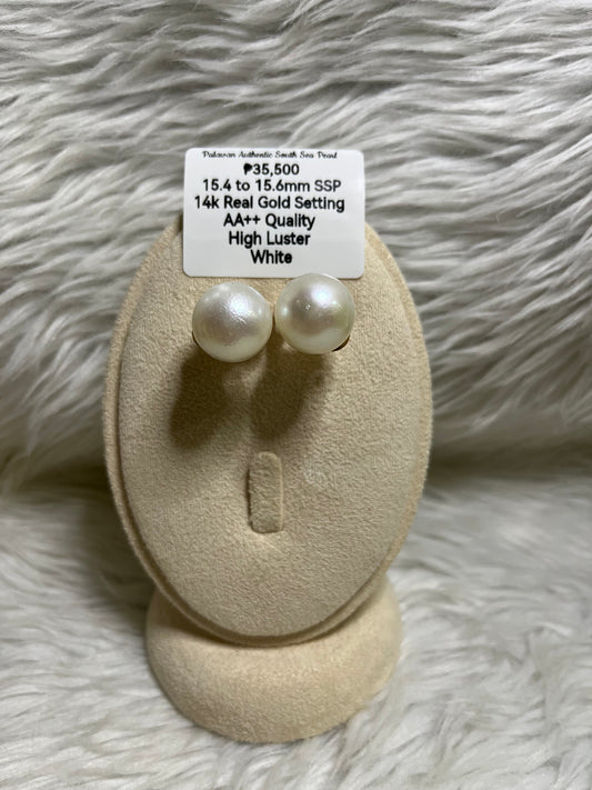 New Arrival! 15.4mm to 15.6mm Authentic White South Sea Pearl Earrings in 14k Real Gold Settings