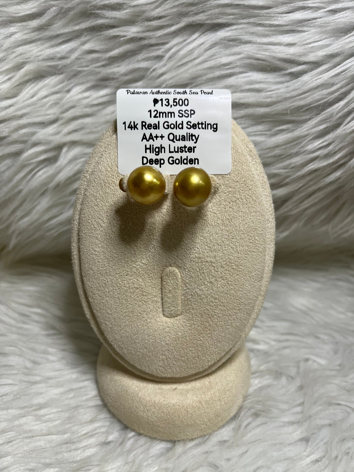 New Arrival! 12mm Authentic Deep Golden South Sea Pearl Earrings in 14k Real Gold Settings