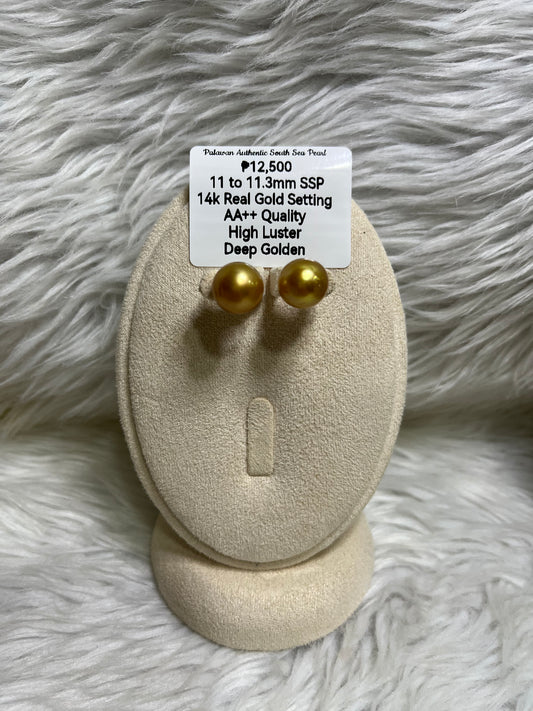 New Arrival! 11mm to 11.3mm Authentic Deep Golden South Sea Pearl Earrings in 14k Real Gold Settings