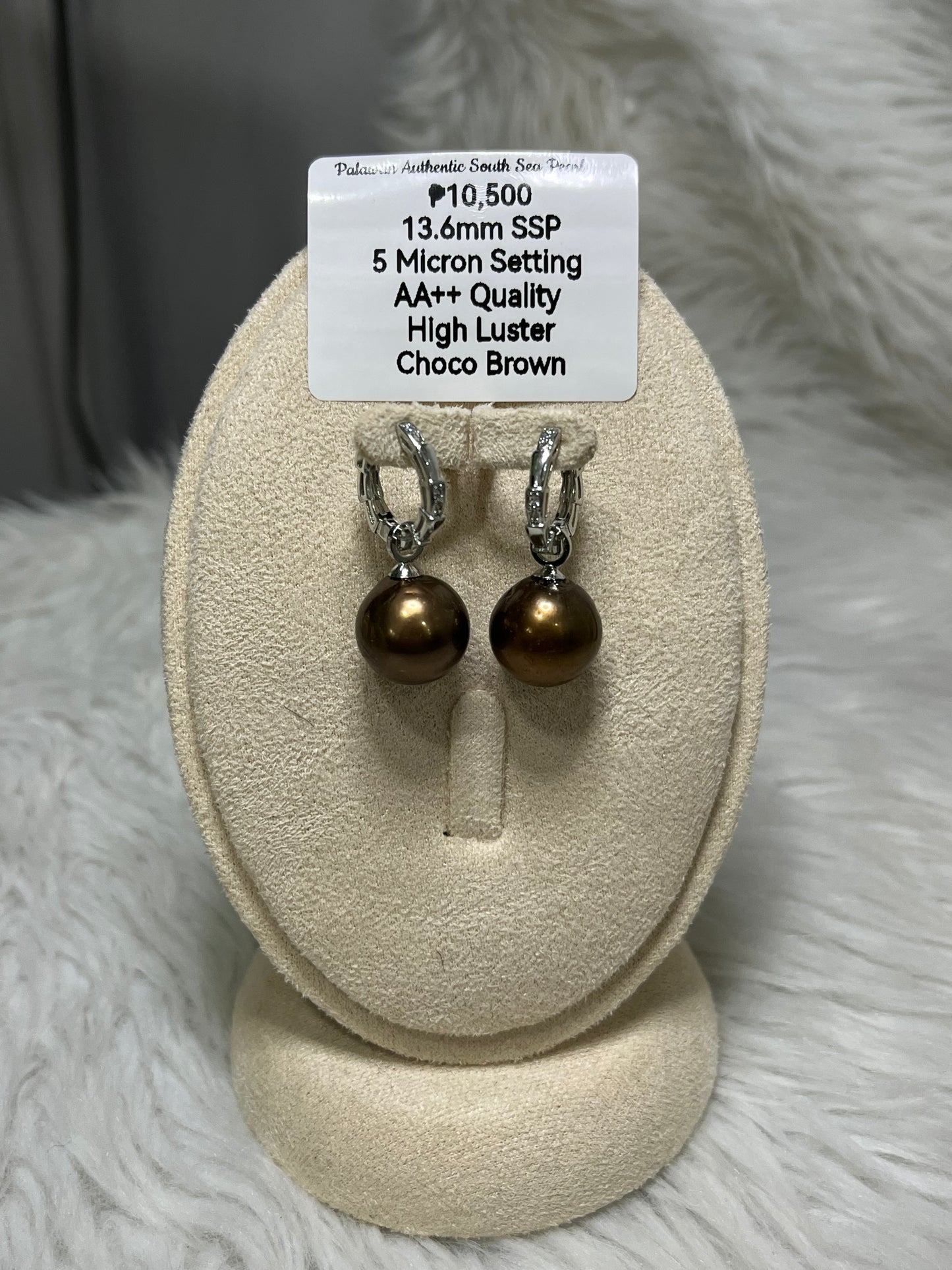 New Arrival! Authentic Choco Brown Color South Sea Pearl Earrings in 5 Micron Plated Settings