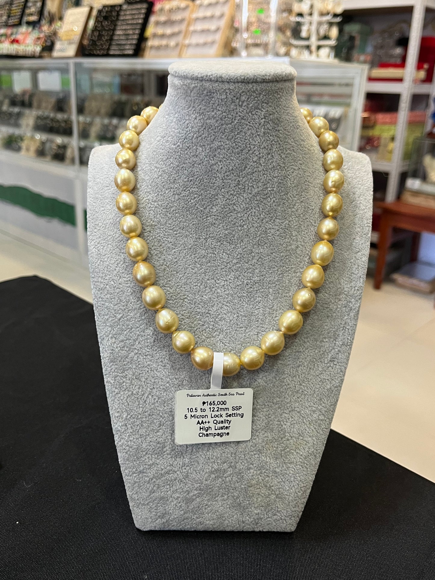 New Arrival! 10.5mm to 12.2mm Authentic Champagne Color South Sea Pearl Choker Necklace