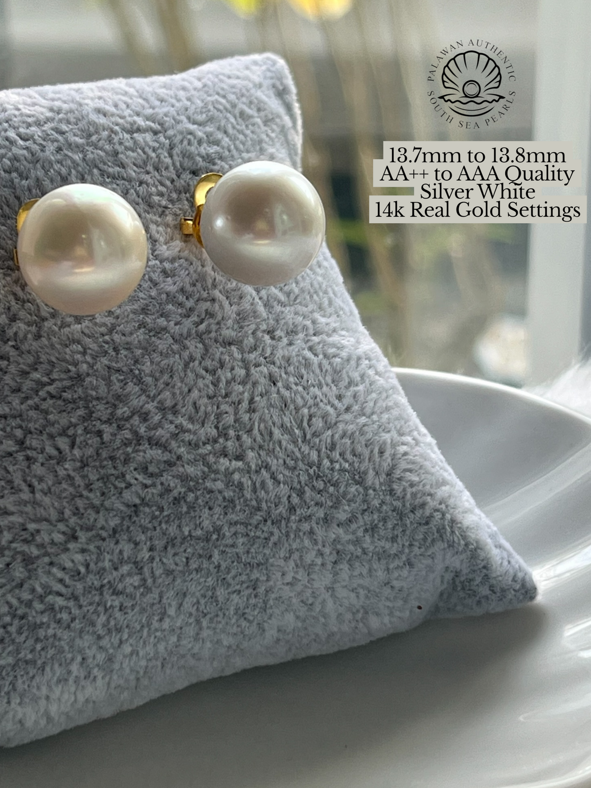 13.7mm to 13.9mm Palawan Authentic Silver White Color South Sea Pearl Earrings in 14k Real Gold Settings