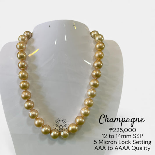 New Arrival! 12 to 14mm Palawan Authentic Champagne Color South Sea Pearl Choker Necklace in 5 Micron Lock Setting