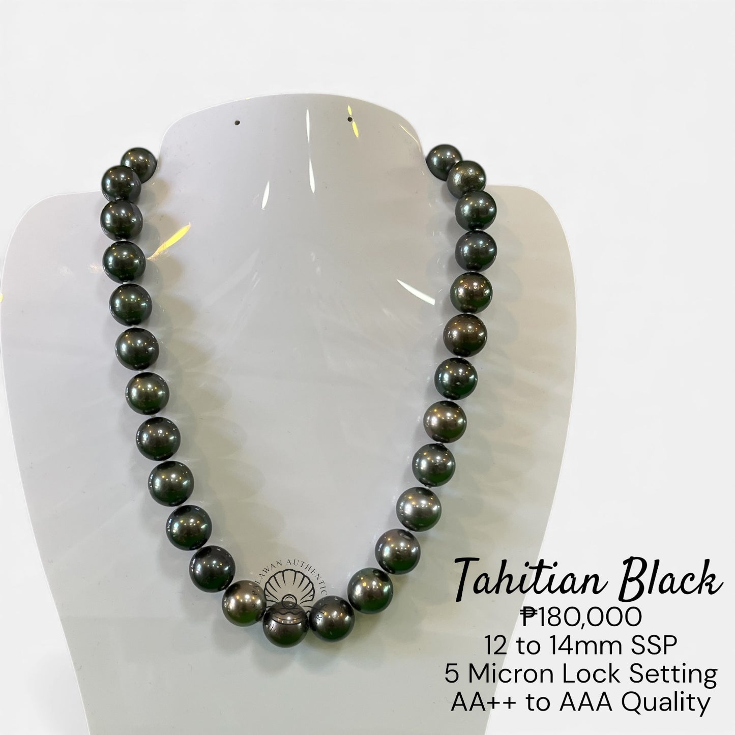 New Arrival! 12 to 14mm Palawan Authentic Tahitian Black Color South Sea Pearl Choker in 5 Micron Lock Setting