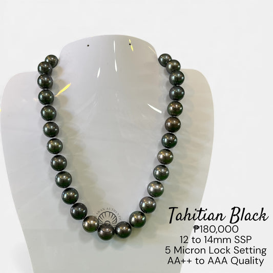 New Arrival! 12 to 14mm Palawan Authentic Tahitian Black Color South Sea Pearl Choker in 5 Micron Lock Setting