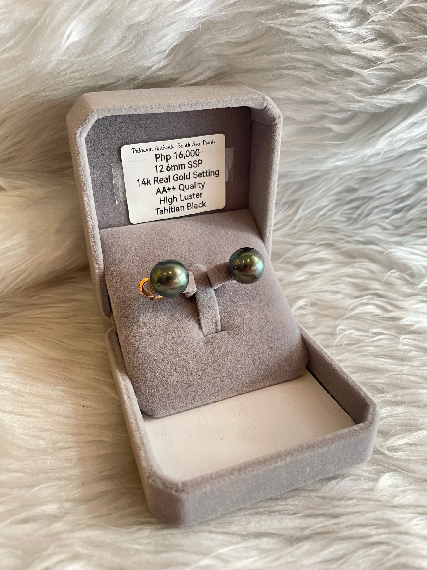 12.6mm Authentic Tahitian Black Color South Sea Pearl Earrings in 14k Real Gold Settings