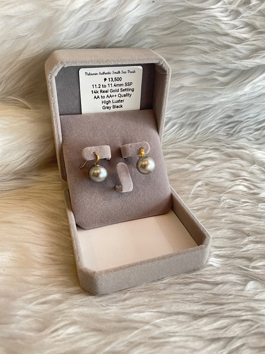 11.2mm to 11.4mm Authentic Gray Black Color South Sea Pearl Earrings in 14k Real Gold