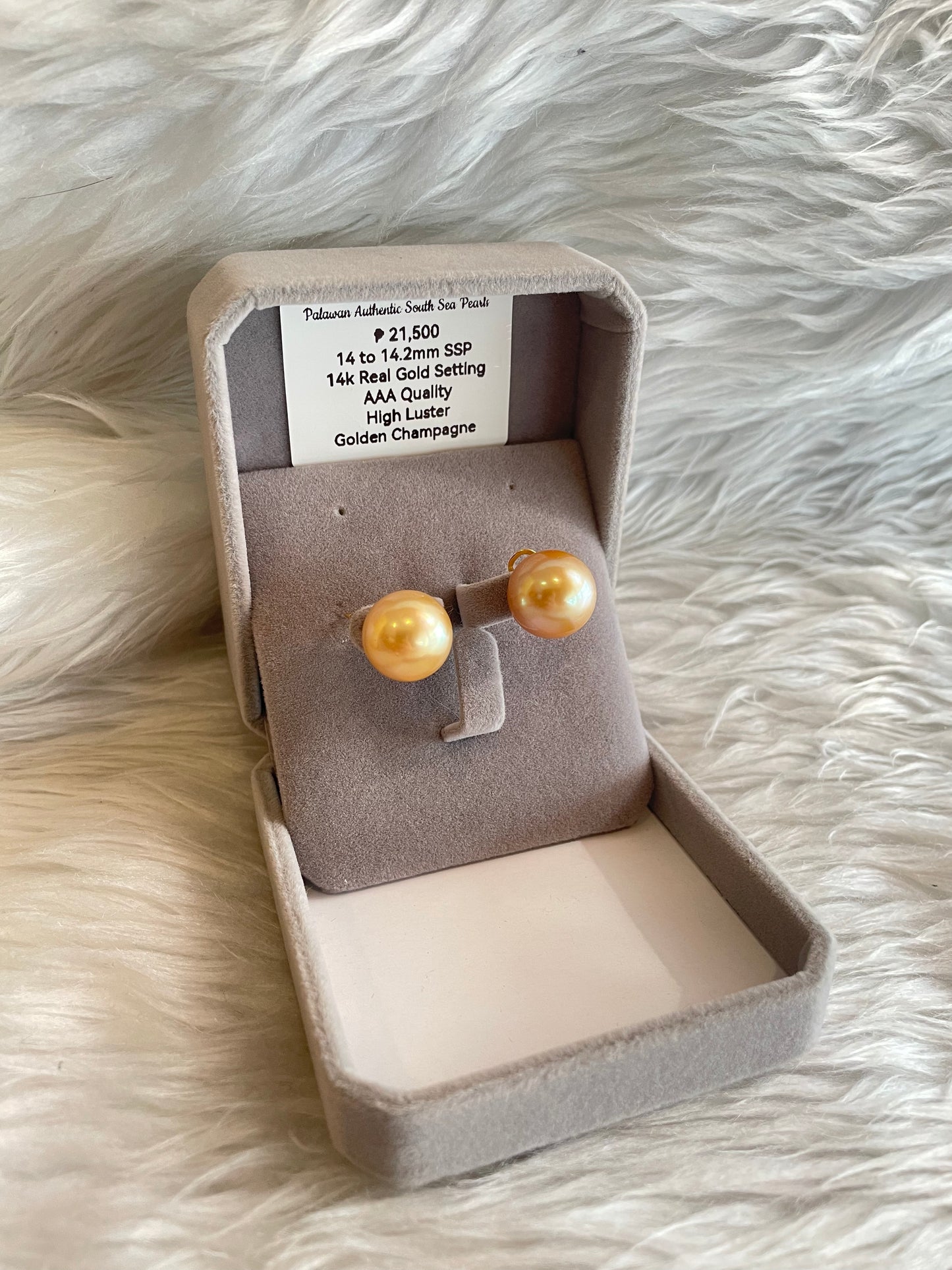 14mm to 14.2mm Authentic Golden Champagne South Sea Pearl Earrings in 14k Real Gold Settings