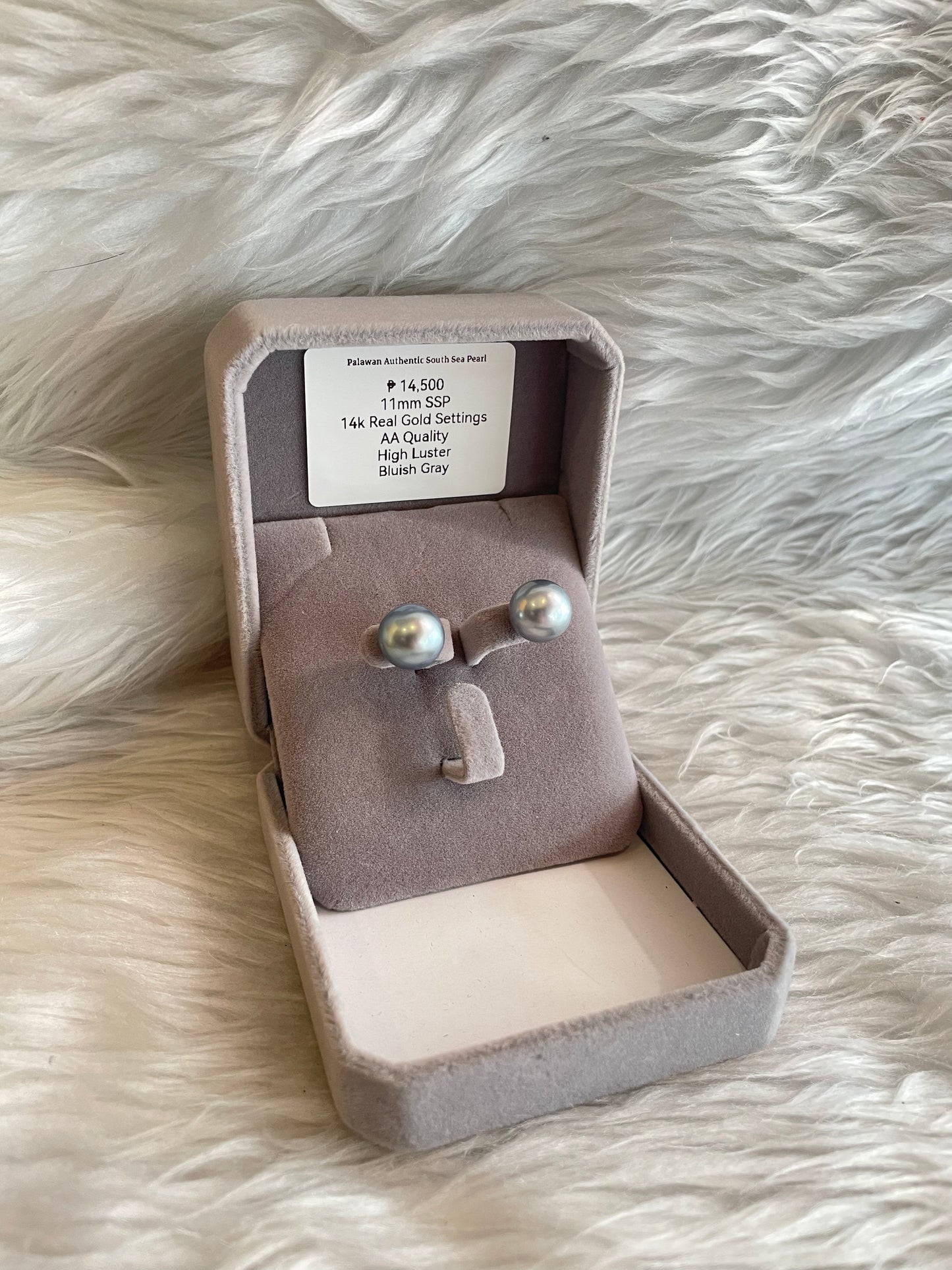 11mm Authentic Bluish Gray Color South Sea Pearl Earrings in 14k Real Gold Settings