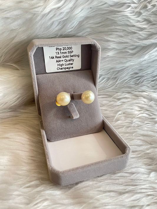 13.1mm Authentic Champagne South Sea Pearl Earrings in 14k Real Gold Settings