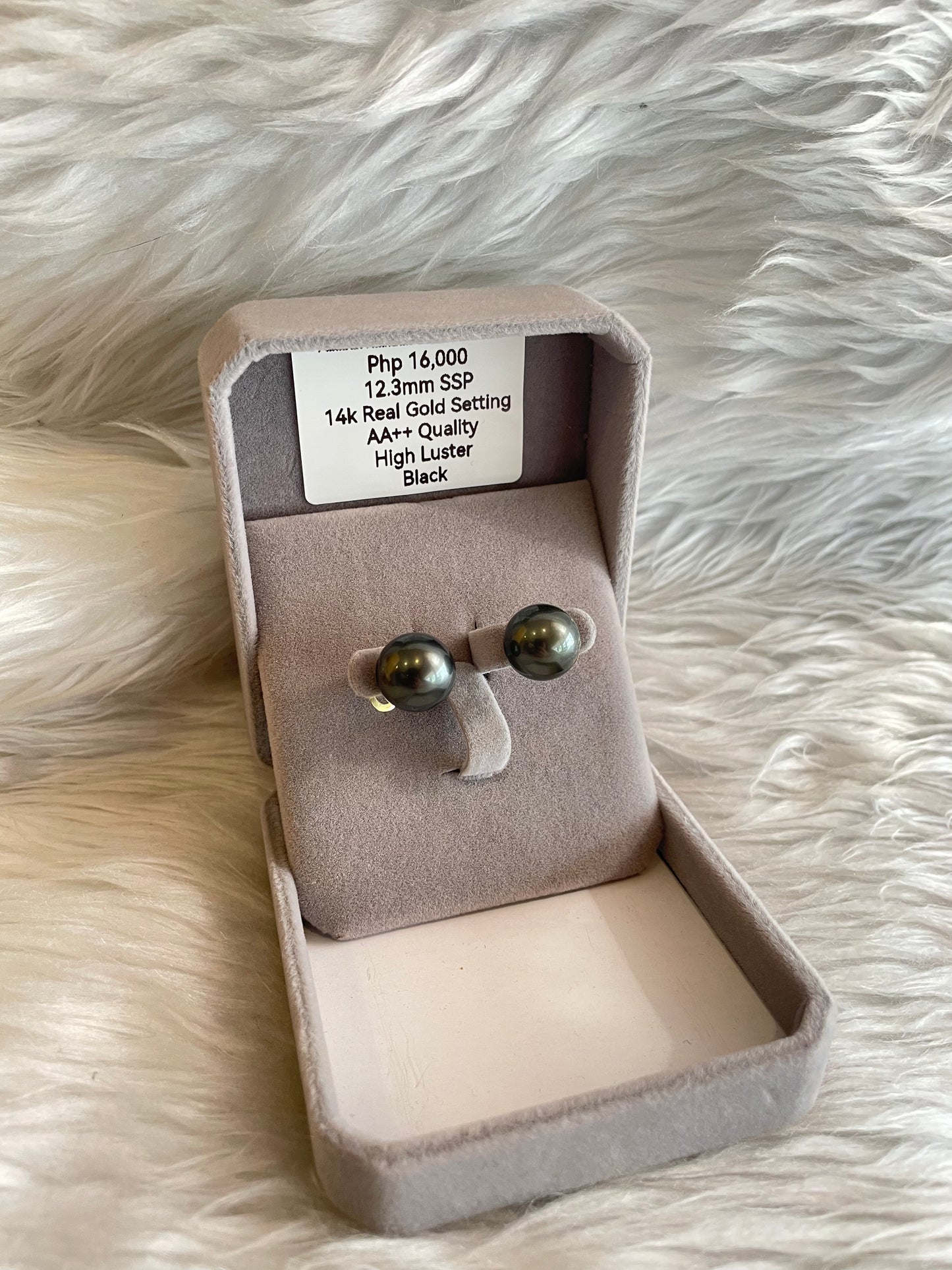 12.3mm Authentic Black Color South Sea Pearl Earrings in 14k Real Gold Settings