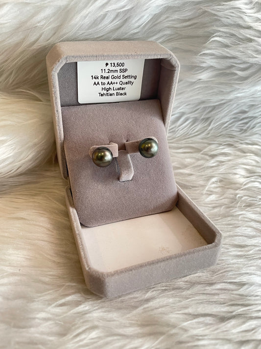 11.2mm Authentic Tahitian Black Color South Sea Pearl Earrings in 14k Real Gold Settings