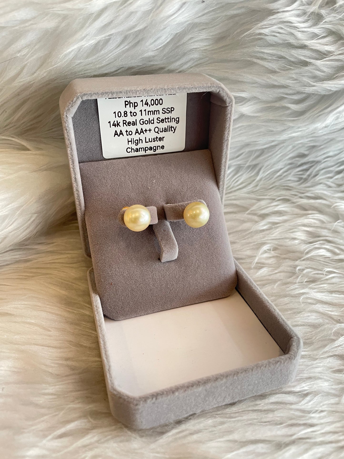 10.8mm Authentic Champagne Color South Sea Pearl Earrings in 14k Real Gold Settings