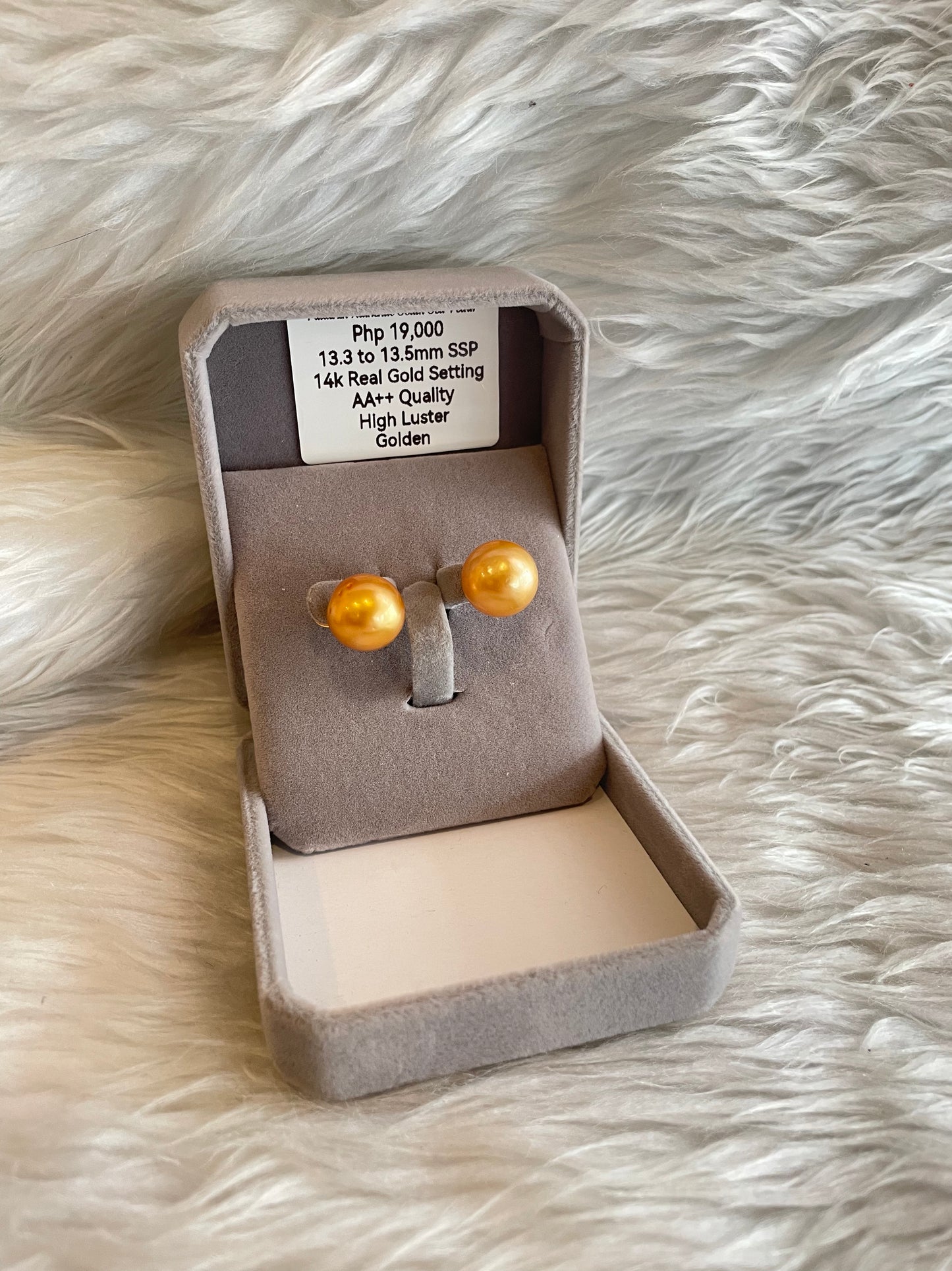 13.3mm to 13.5mm Authentic Golden South Sea Pearl Earrings in 14k Real Gold Settings