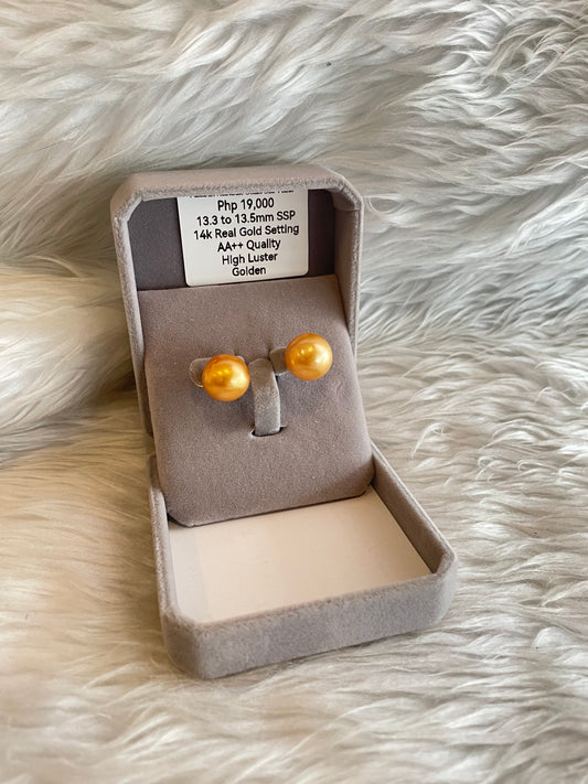 13.3mm to 13.5mm Authentic Golden South Sea Pearl Earrings in 14k Real Gold Settings